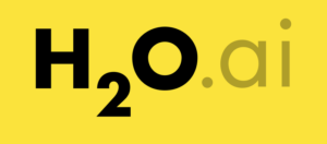 H2O ai